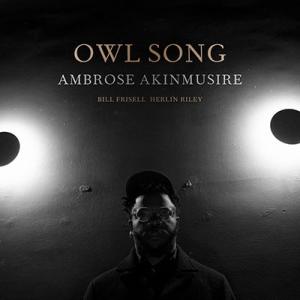 Ambrose Akinmusire Owl Song CD｜tower