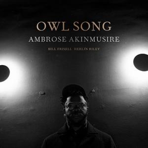 Ambrose Akinmusire Owl Song LP