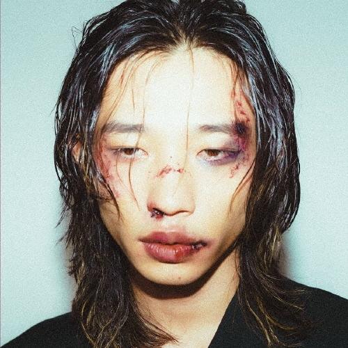 アンと私 FALL DOWN II CD