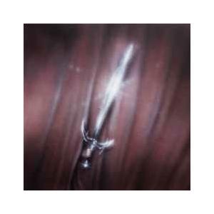 Courting New Last Name CD