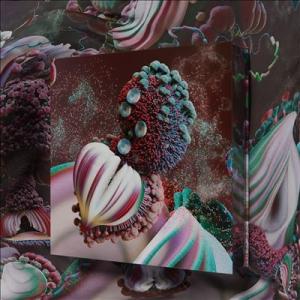 Bjork fossora ［10inch］＜Clear Vinyl＞ LP