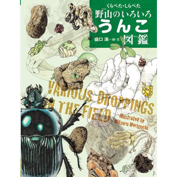 盛口満 くらべた・しらべた野山のいろいろうんこ図鑑 ちしきのぽけっと 26 Book