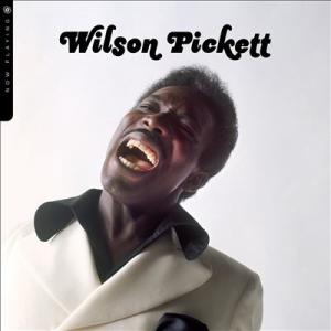 Wilson Pickett Now Playing LP