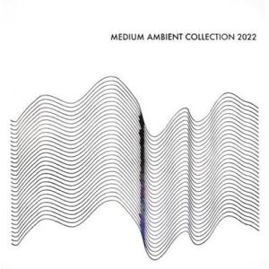 Various Artists MEDIUM AMBIENT COLLECTION 2022 WHI...