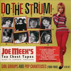 Various Artists Do The Strum - Joe Meek&apos;s Girl Gro...