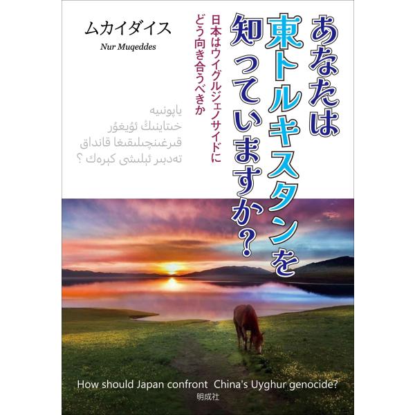ムカイダイス あなたは東トルキスタンを知っていますか? 日本はウイグルジェノサイドにどう向き合うべき...