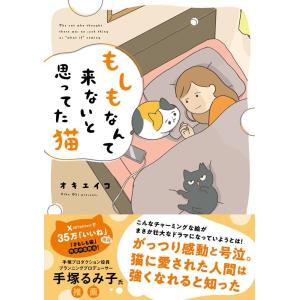 オキエイコ もしもなんて来ないと思ってた猫 Book