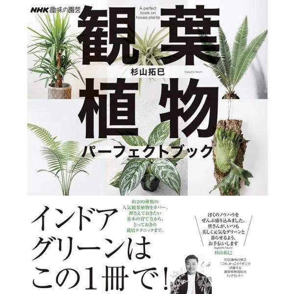 杉山拓巳 NHK趣味の園芸 観葉植物 パーフェクトブック Mook