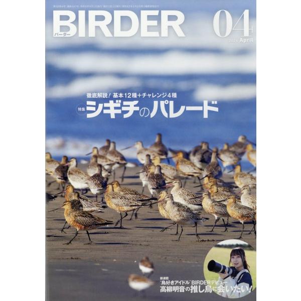 BIRDER (バーダー) 2024年 04月号 [雑誌] Magazine