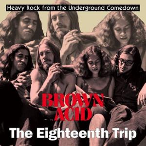Various Artists Brown Acid: The Eighteenth Trip CD｜tower