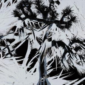 Plastic Tree ［CD+DVD+BOOK］＜完全生産限定盤＞ CD : タワーレコード