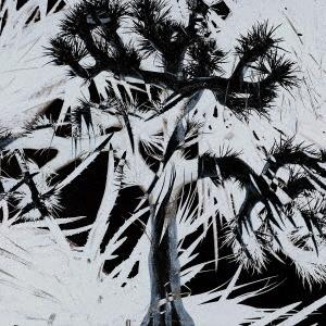 Plastic Tree Plastic Tree＜通常盤＞ CD