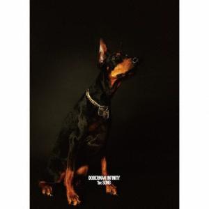 DOBERMAN INFINITY 1st SONG ［CD+DVD］＜初回生産限定盤＞ 12cmCD Single