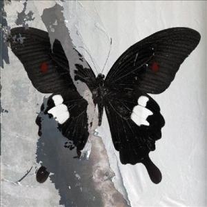 Death Cult Paradise Now＜数量限定盤/Crystal Clear With W...