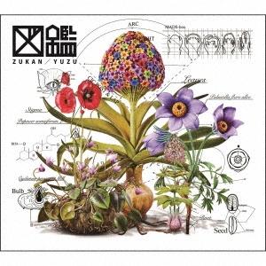 UNISON SQUARE GARDEN / DUGOUT ACCIDENT（通常盤A／CD＋DVD） [CD