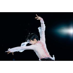 矢口亨 羽生結弦 Bookの詳細画像3