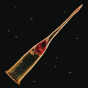 Leprous Melodies Of Atonement＜限定盤/Red Vinyl＞ LP