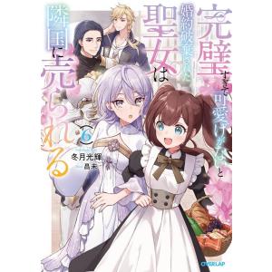 冬月光輝 完璧すぎて可愛げがないと婚約破棄された聖女は隣国に売られる 6 Book
