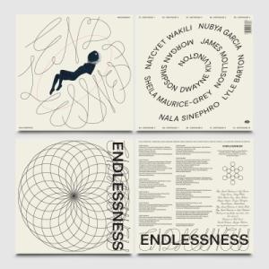 Nala Sinephro Endlessne...の詳細画像2