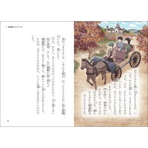 金治直美 ココ・シャネル Bookの詳細画像4