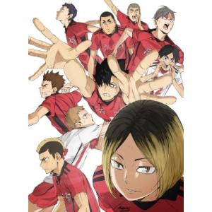『劇場版ハイキュー!! ゴミ捨て場の決戦』 豪...の詳細画像1
