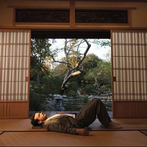 Rex Orange County The Alexander Technique CD