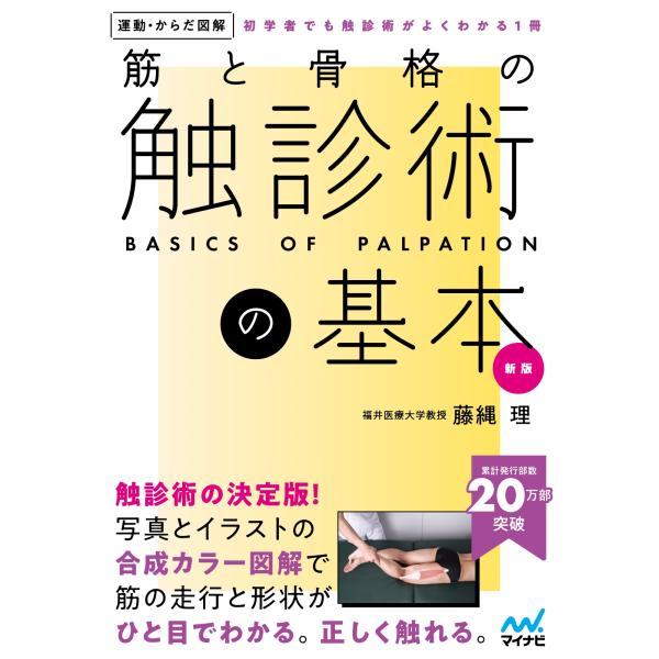 藤縄理 運動・からだ図解 筋と骨格の触診術の基本 新版 Book