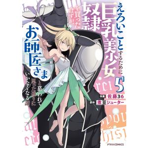 佐藤36 えろいことするために巨乳美少女奴隷を...の詳細画像1