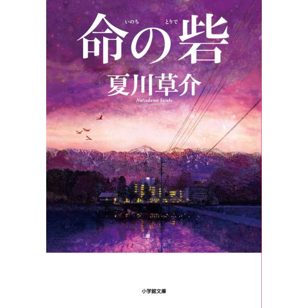 夏川草介 命の砦 Book