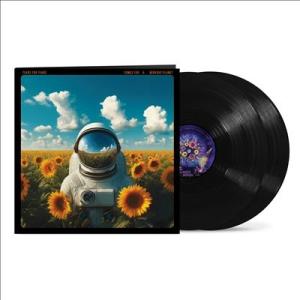 Tears For Fears Songs For A Nervous Planet LP