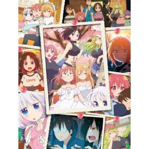 遊戯王5D's DVDシリーズ DUELBOX13（最終） : トシゲイト10 - 通販