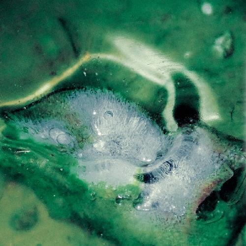 Tristan Arp a pool, a portal CD
