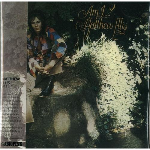 Matthew Ellis Am I...? CD