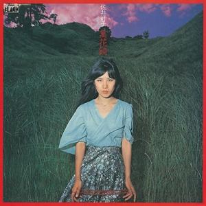 佐井好子 萬花鏡 LP