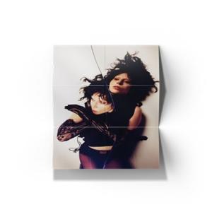 Lady Gaga Mayhem LPの詳細画像3
