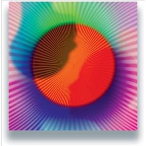 United Freedom Collective Bright Patterns 12inch S...