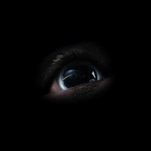 Roger Waters The Dark Si...の商品画像