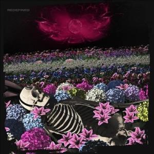 The Dead Rabbitts Redefined CD