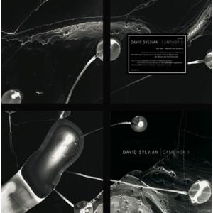David Sylvian Camphor II＜Colored Vinyl＞ LP