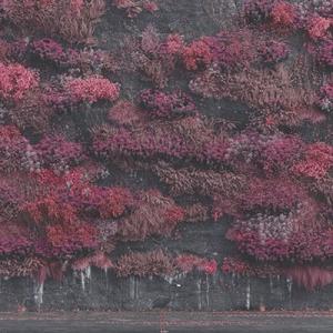 Sleep Token Even In Arcadia＜完全生産限定盤＞ LP