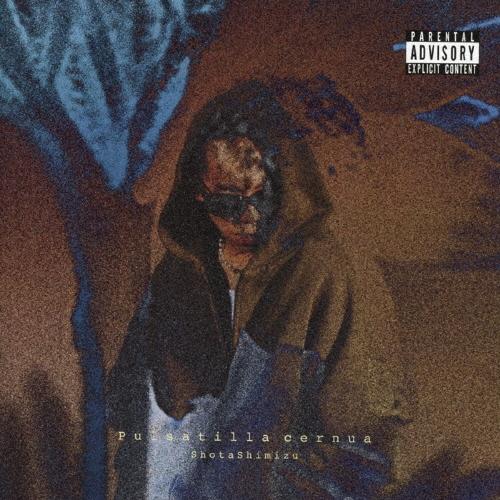 清水翔太 Pulsatilla cernua ［CD+Blu-ray Disc］＜完全生産限定盤＞ ...