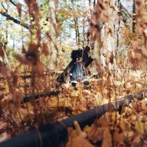 Billy Woods Golliwog＜限定生産盤＞ LP