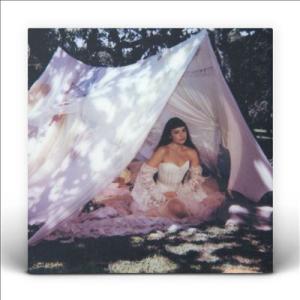 Julia Mestre Maravilhosamente Bem＜限定盤＞ LP