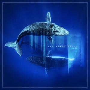 The Naked Souls Reverb From The Depths LP