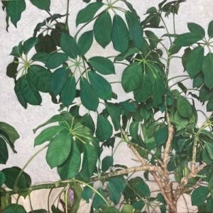 Breath Mark vocal guitar contrabass LP