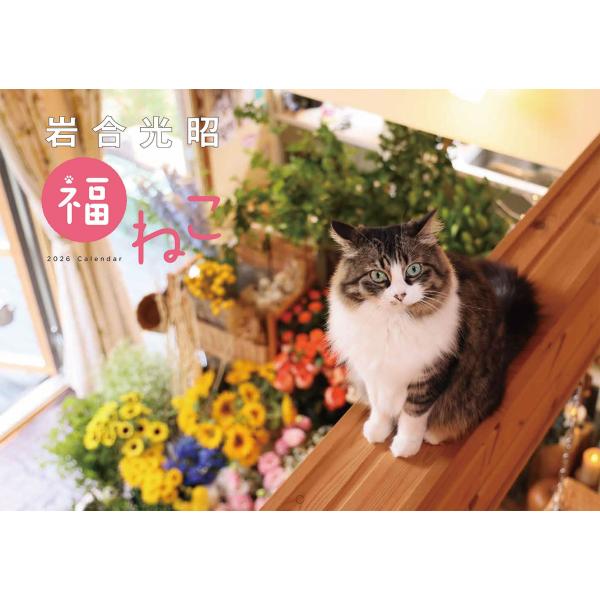 岩合光昭 岩合光昭 福ねこカレンダー2026 Book