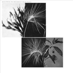 Andrew Pekler New Environments And Rhythm Studies ...