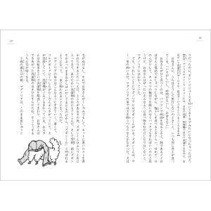 シャネル・ミラー ランドリーの迷子たち Bookの詳細画像5