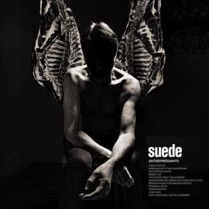 Suede Antidepressants LP