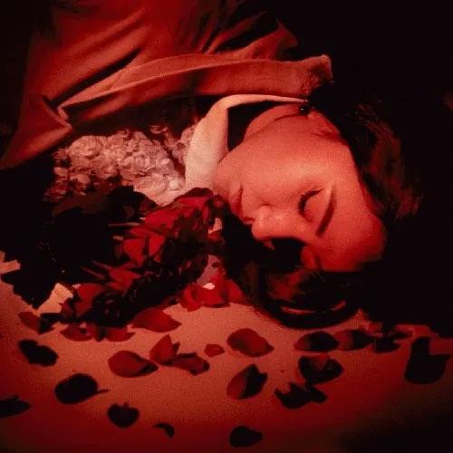 Coming Up Roses How Did We Fall So Far? CD